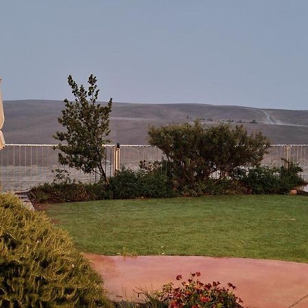 Desert Call Villa Arad Dış mekan fotoğraf